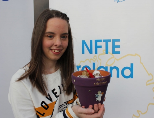 Foroige Youth Entrepreneurship Programme - About NFTE